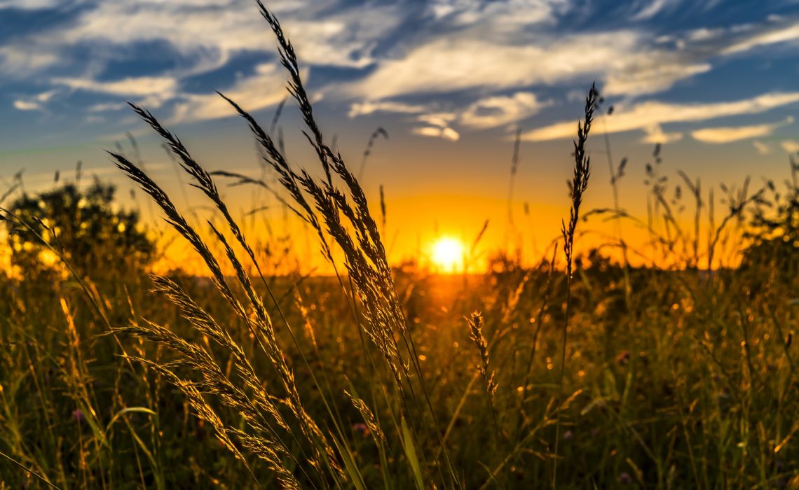 Sonne hilft bei Psoriasis
