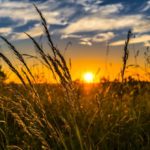 Sonne bei Schuppenflechte: Natürliche Therapie statt Sonnenbrand